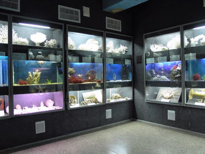 Севастопольский аквариум музей